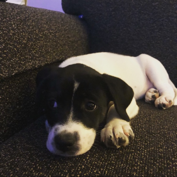 Meet your Posher, Kim - Picture 7 of 7